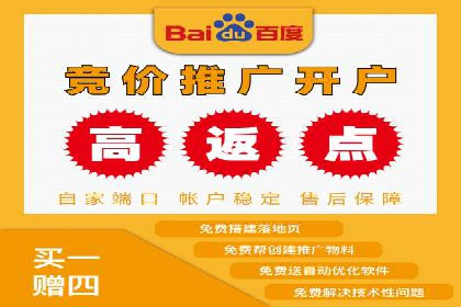实战案例：SEM广告投放的优化策略